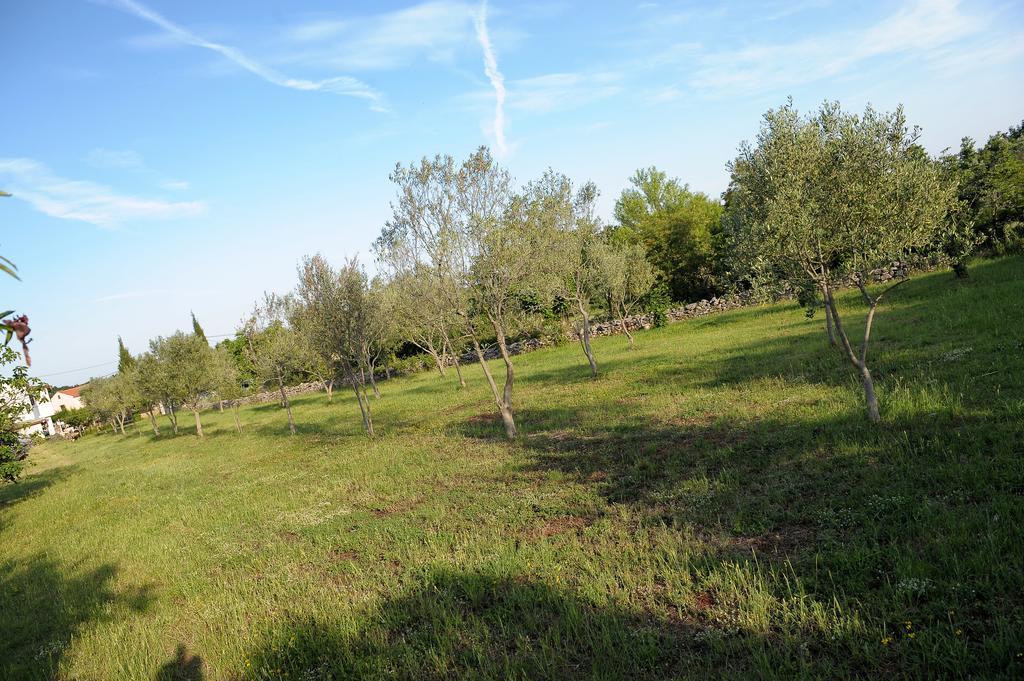 Holiday Home Dioniza วอดิยัน ห้อง รูปภาพ